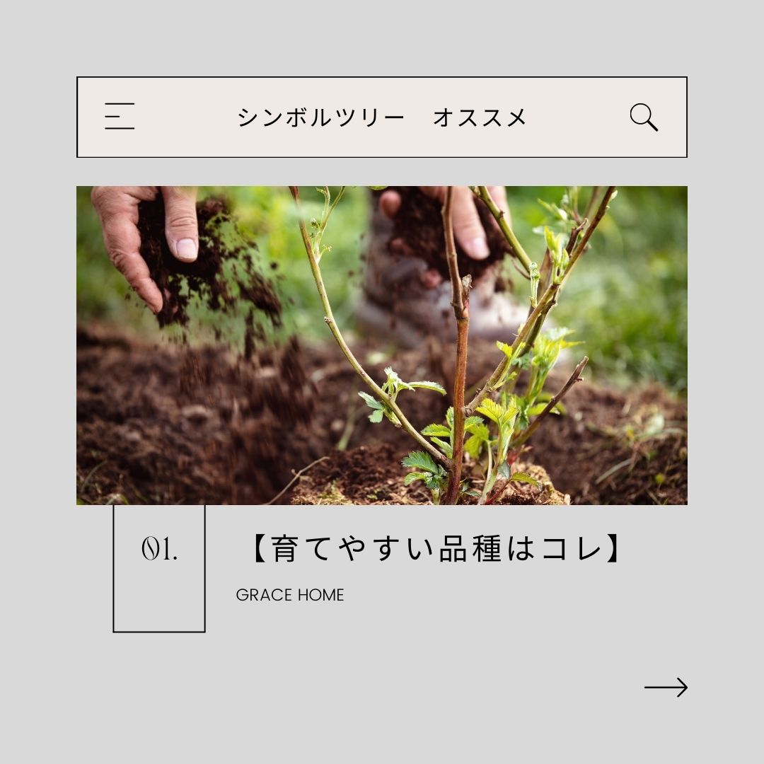 【オススメ5種】シンボルツリーを植えよう