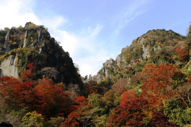 紅葉は一目八景へ