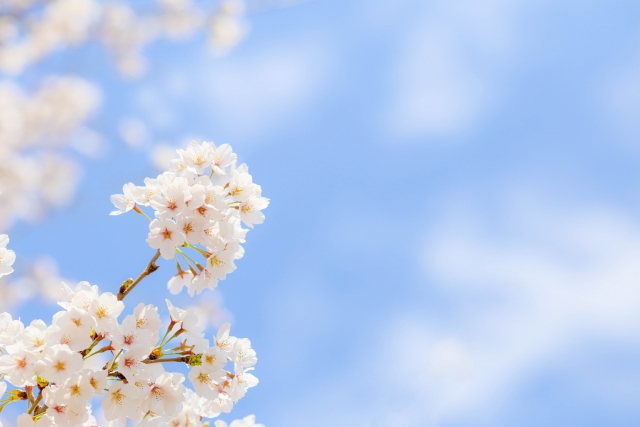 冬暖かく、夏は涼しい家。