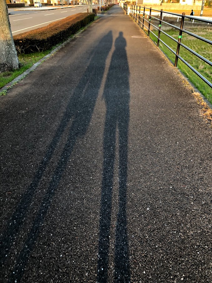 朝のウオーキング