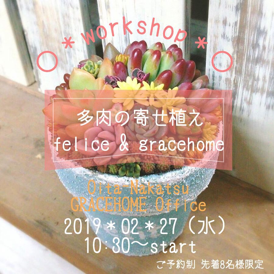 今日のお仕事