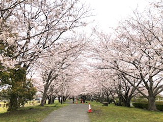 新しい看板が立ちました！