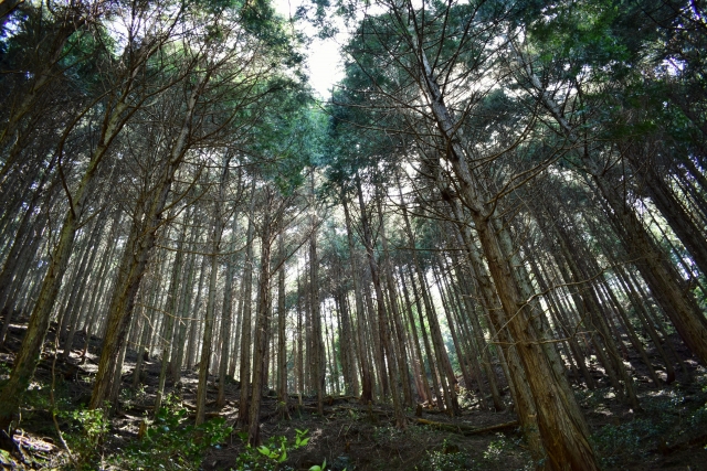 工事編　～木材～