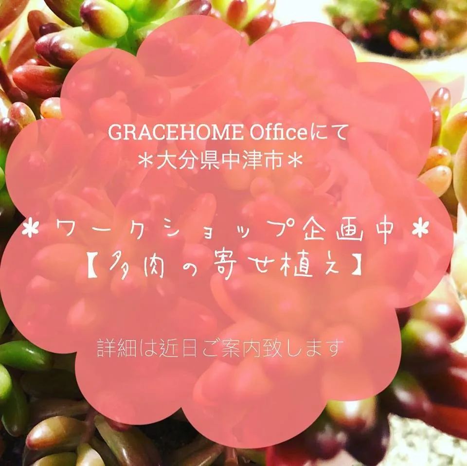 *今週のお仕事*