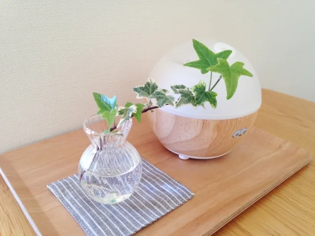 加湿器のお手入れ