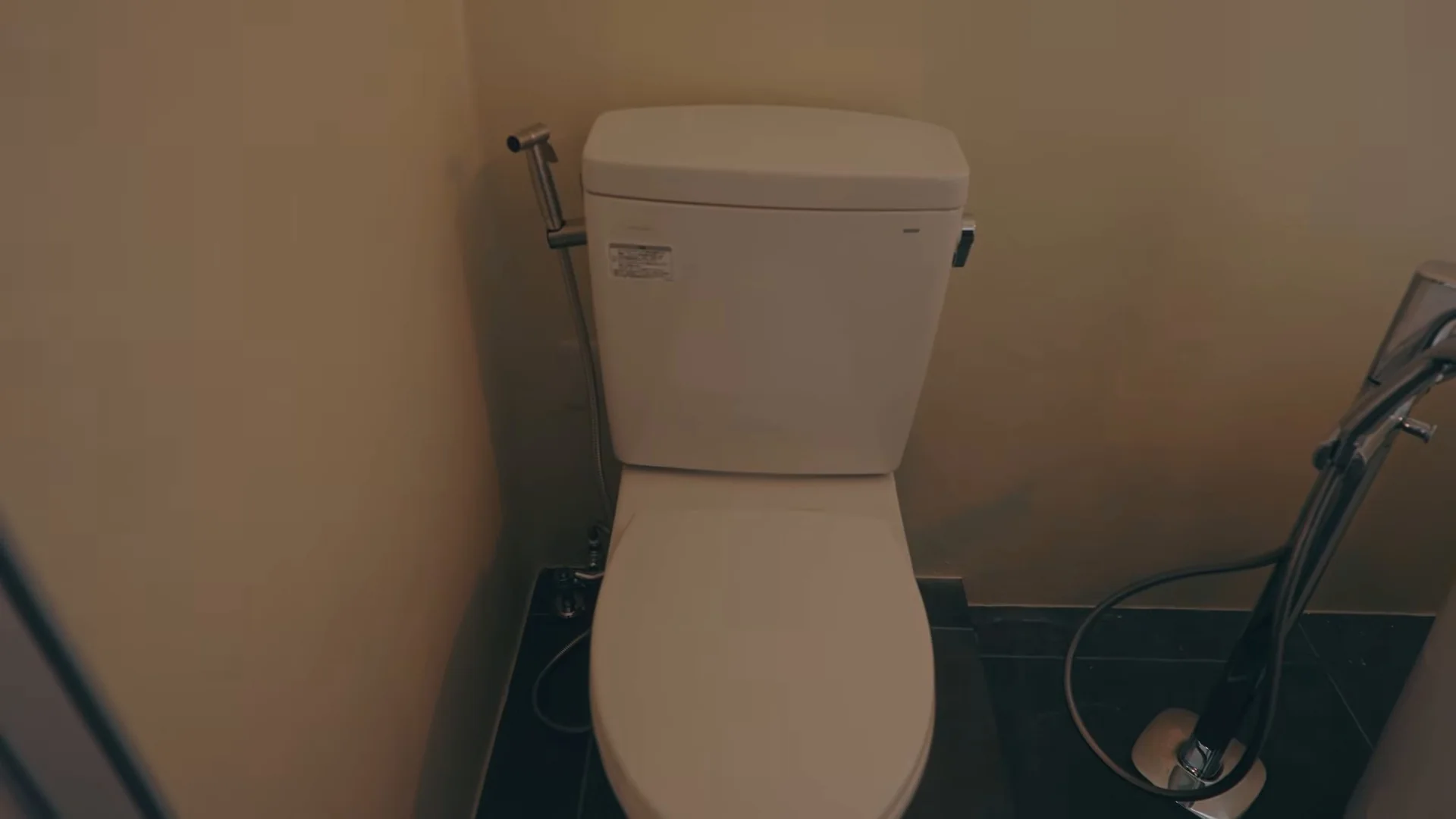 タンクの横にハンドシャワー式のビデを付けた便器