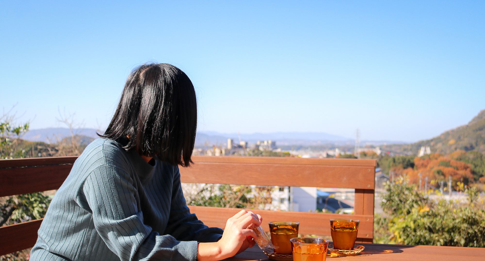 土地を活かした無二の眺望を有する平屋